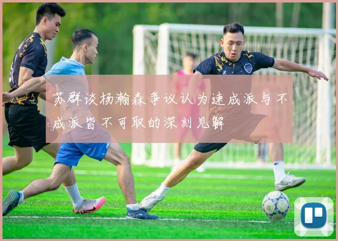 苏群谈杨瀚森争议认为速成派与不成派皆不可取的深刻见解